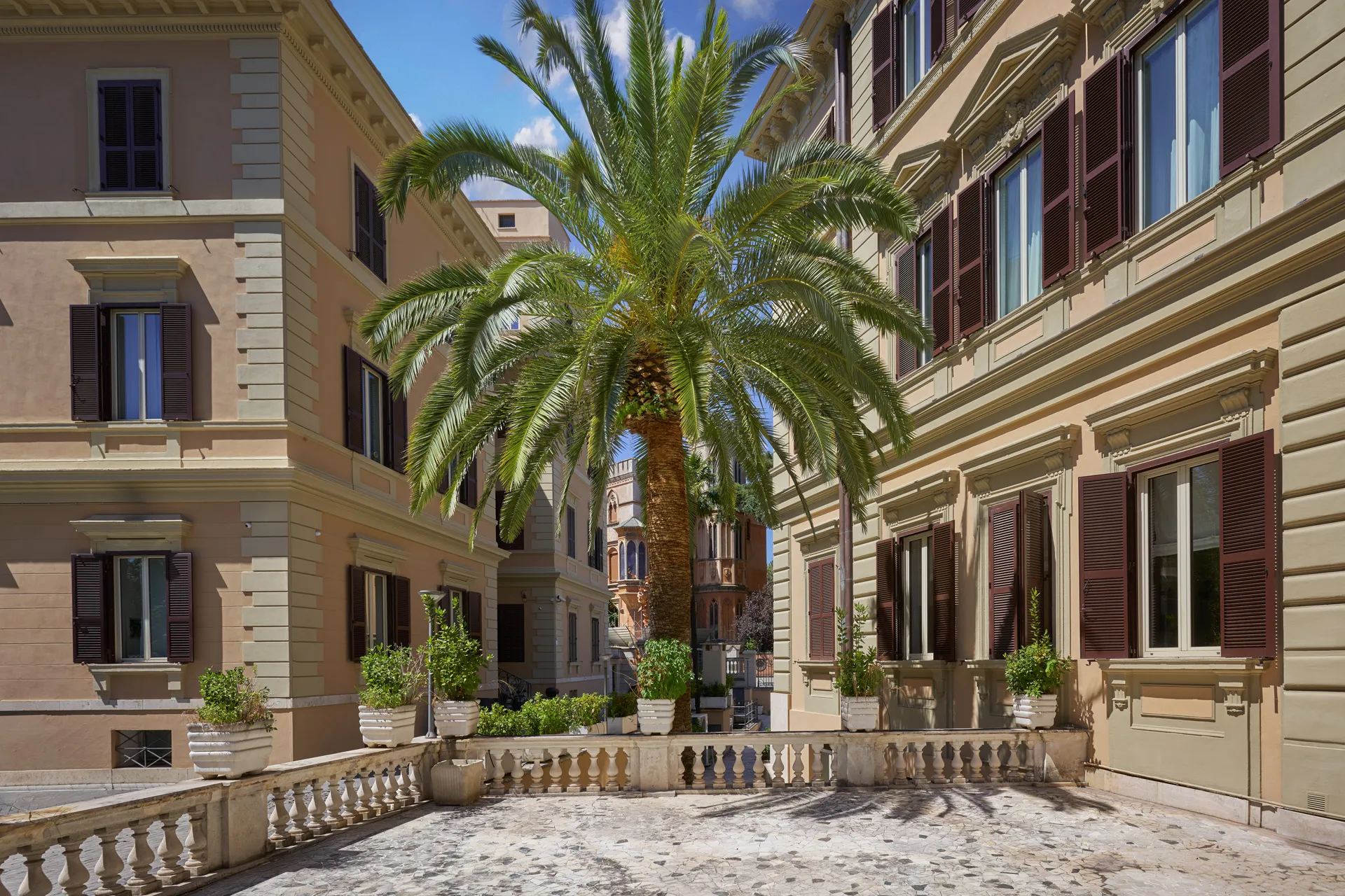 Il cortile con la palma vista dalla balaustra