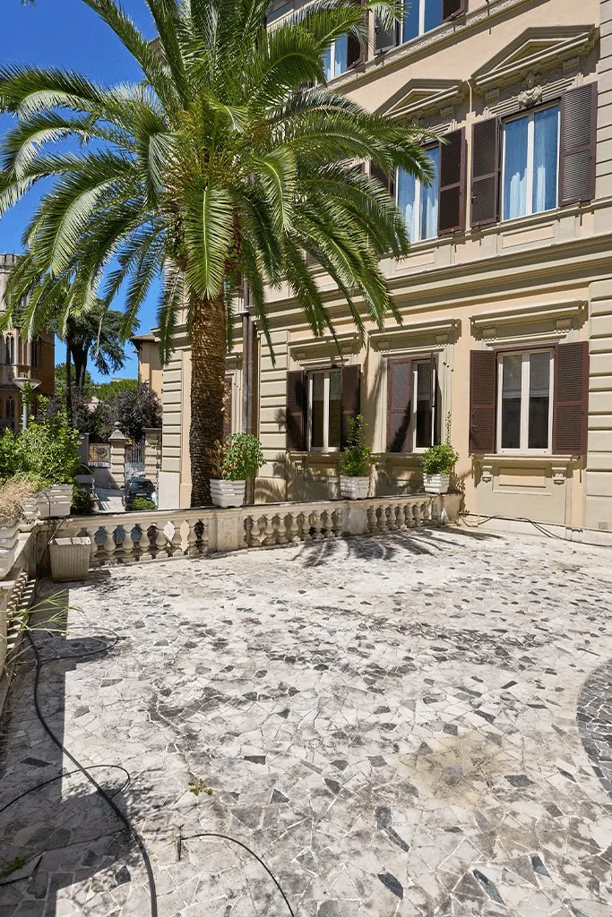 Il cortile con la palma e la facciata interna