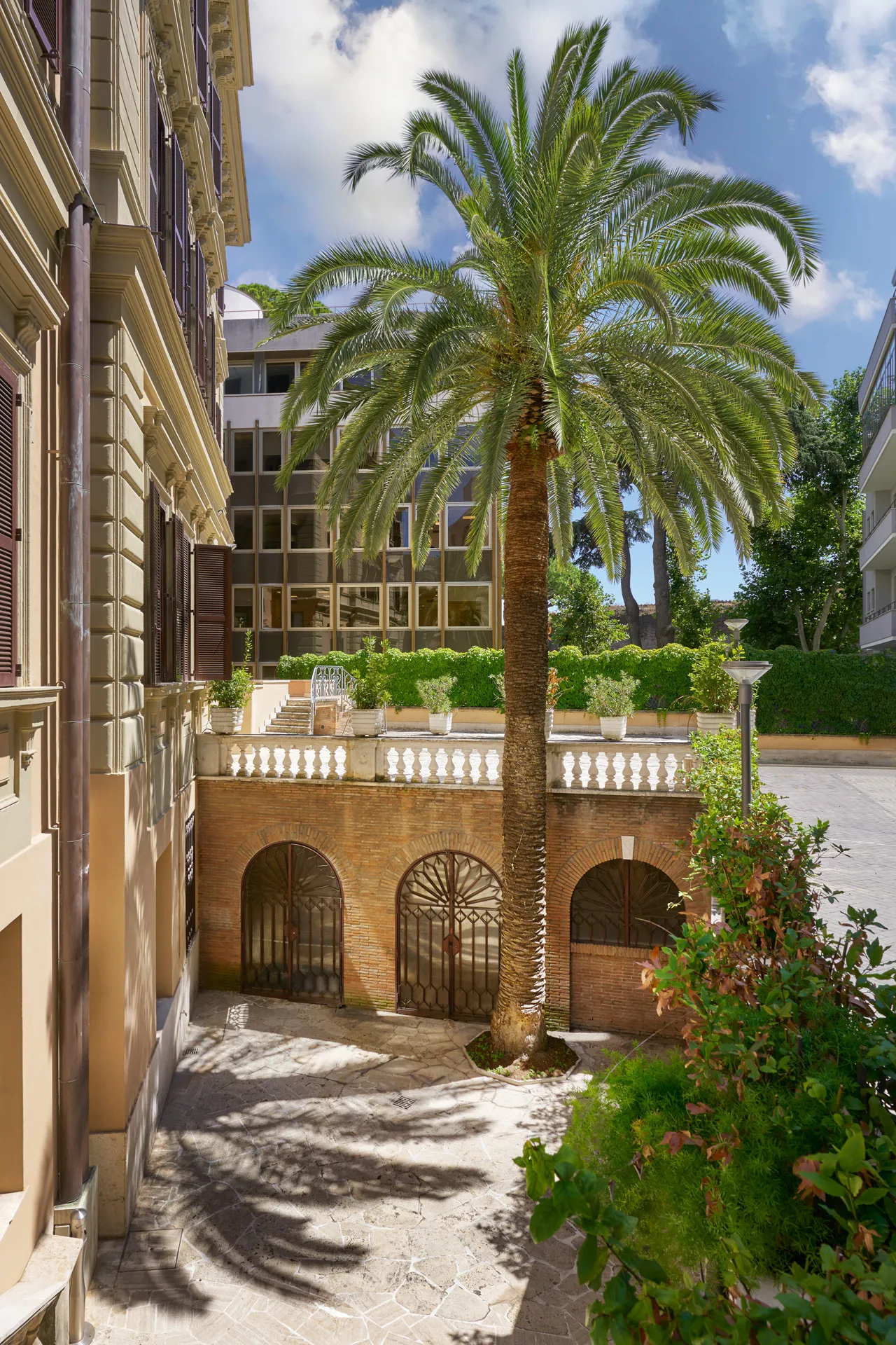Il cortile del Palazzo con la palma centrale